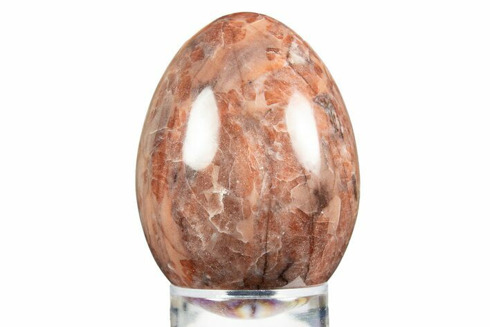 Polished Kona Dolomite (Stromatolite) Egg - Michigan #309090